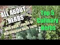 2/8: Top 5 Herbs To Grow in Your Garden - Morningsun Herb Farm's 8-video series "ALL ABOUT HERBS"