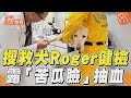 搜救犬Roger任務結束去健檢 露「苦瓜臉」站診療台抽血｜TVBS新聞｜擠看看@TVBSNEWS01