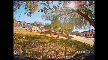 Voo com Emax Tinyhawk - Project Mockingbird V3.