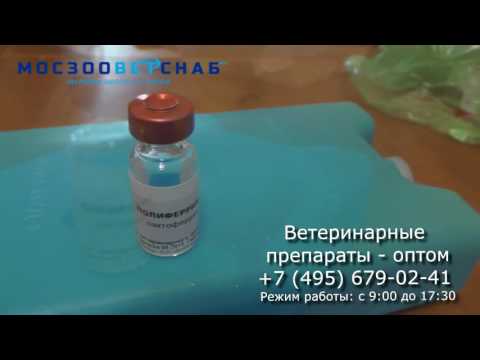 Ветеринарные препараты. Полиферрин-А. Инструкция. Видео