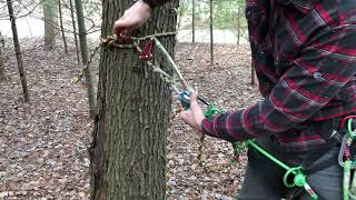 Cinching and retrievable anchor for spar work in tree removals