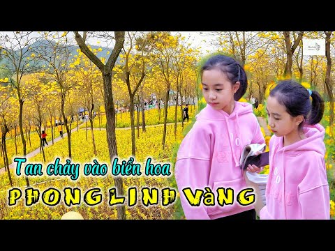 DU LỊCH TRUNG QUỐC: Tan chảy vào biển hoa Phong Linh [4K] 2023 Mới