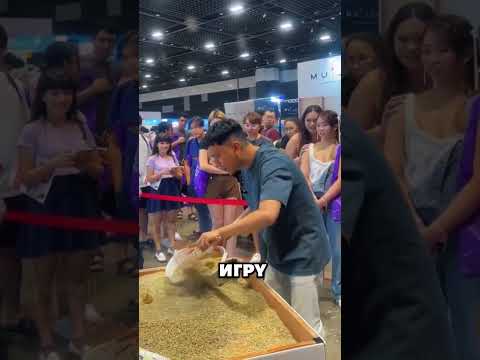Кошачьи какашки за 10 секунд! 💩😯#животные