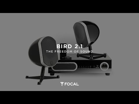 Focal Bird 2.1, around your TV