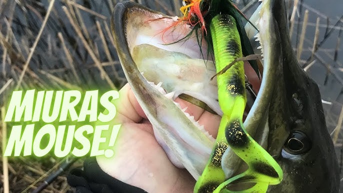 THIS LURE IS INSANE! Pike fishing with the Strikepro Miuras Mouse! 