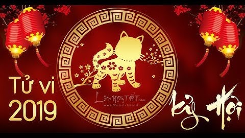 Tử Vi Tuổi Mão 2019 Kỷ Hợi Tiền Nhiều Hay Ít Chi Tiết Vận Trình Từng Tuổi Dần - Tử Vi 12 Con Giáp