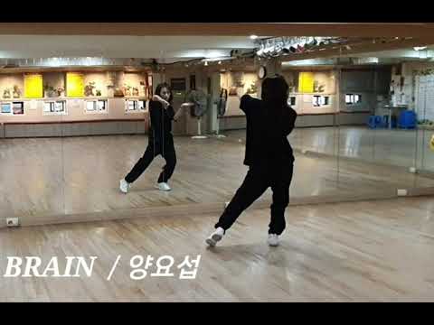 커버댄스 / 양요섭 BRAIN / 카운트 설명 # 비키샘