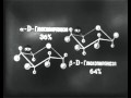 Углеводы. Леннаучфильм.часть 1