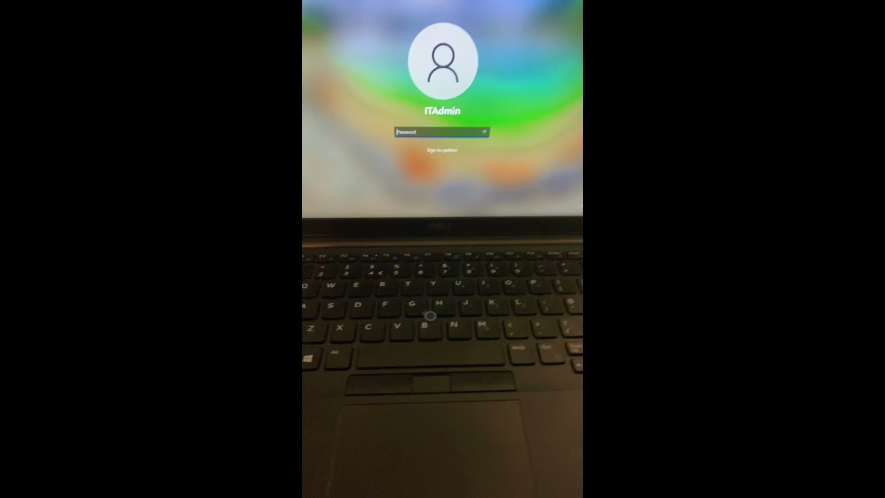 How To Factory Reset Windows 11 Without The Password Shorts Windows11 Windows10 Tech