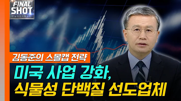 미국 사업 강화, 식물성 단백질 선도업체... 000 | Final Shot (20241226)