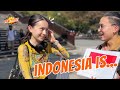 Japanese Reaction! What Do Japanese People Really Think About Indonesia? | Japanese, interview