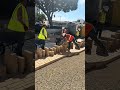 #santabarbara #pavers #concrete #driveway #construction