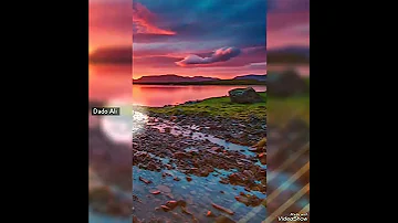 حالات واتس صباح الشحرورة ع الندا 