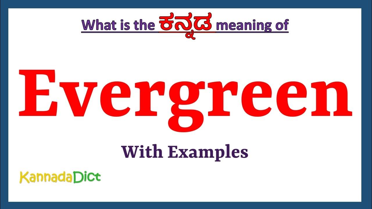 Evergreen Meaning In Kannada Evergreen In Kannada Evergreen In evergreen-meaning-in-kannada-evergreen-in-kannada-evergreen-in