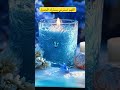رساله الى قلبك رسائل الله اليك دعاء مستجاب اللهم عجل لولیک الفرج اللهم استرني بسترك الجميل رساله الى قلبك رسائل الله اليك دعاء مستجاب اللهم عجل لولیک الفرج اللهم استرني بسترك الجميل