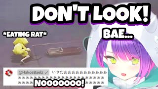Download Lagu Bae Entered Towa's Stream at the Wrong Time... MP3