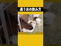 これらの動物の水の飲み方はあなたが思っているのと違う