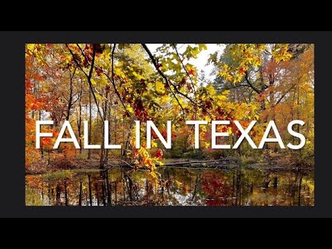 Video: Memancing Musim Gugur di Texas