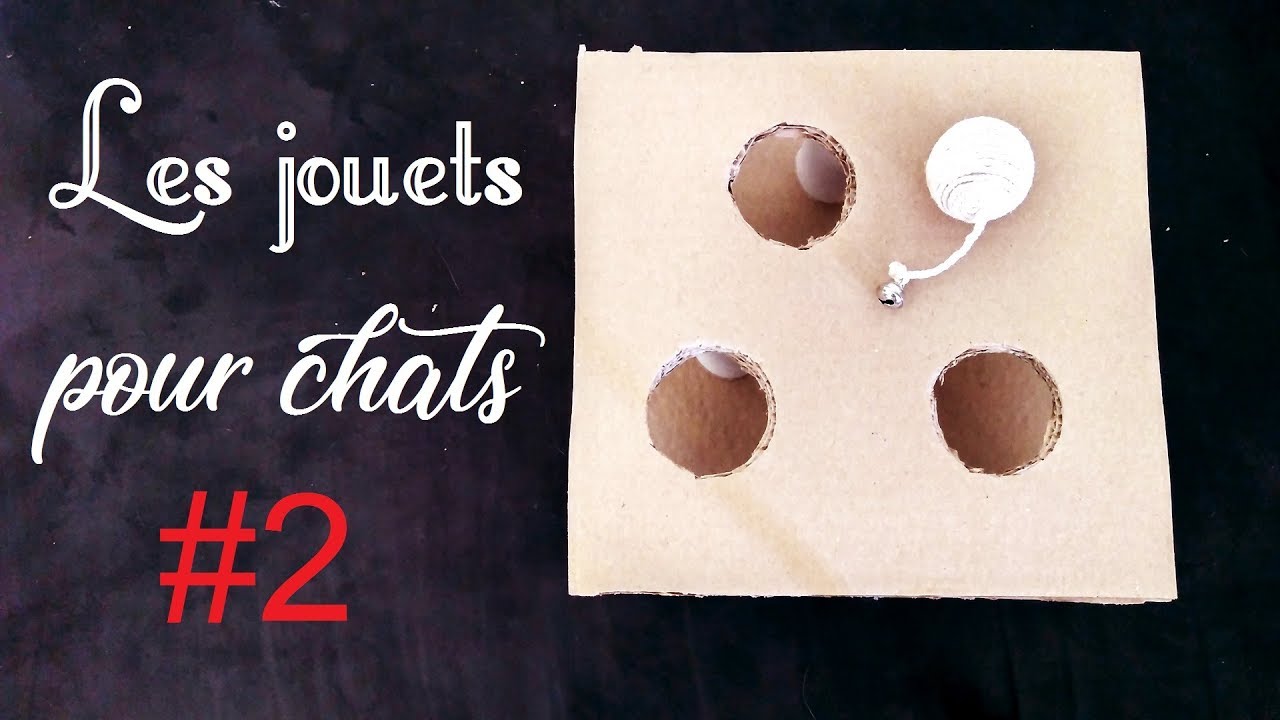 Diy Jouets Pour Chats 2 Youtube