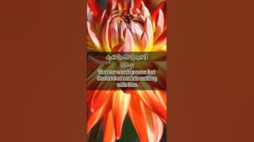 قرآن الكريم سورة آل عمران الآية 63 The Holy Quran, Surah Al Imran, Verse 63 #قران_كريم #انقذوا_غزة