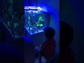 Детки и аквариум