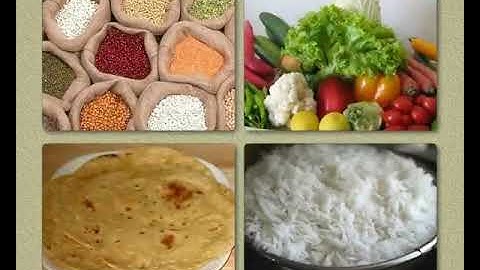 Life Processes  (Life