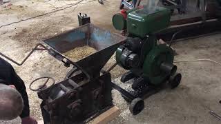 Bentall roller and a Wolseley WLB engine rolling Oats. March 2020.