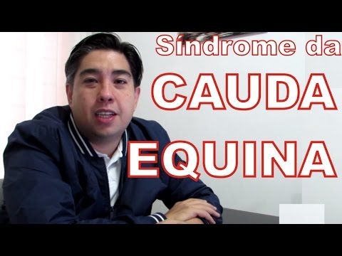 Vídeo: Síndrome De Cauda Equina: Sintomas, Tratamento E Muito Mais