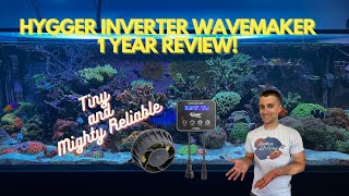 Hygger Aquarium Inverter Wavemaker Pump Hg042- 1 Year Review