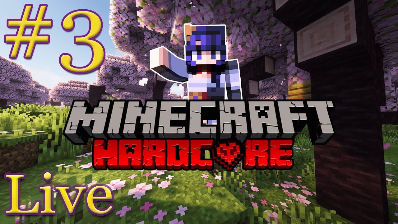 Going in Nether and End, Minecraft Hardcore - part 3 - YouTube
