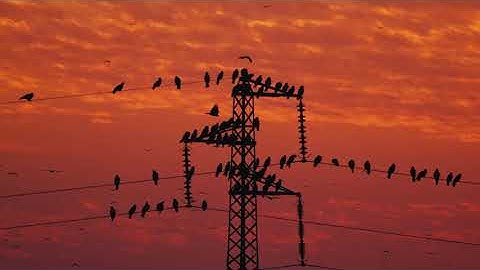 Motorola Solutions - Safety Reimagined Safe Utilities