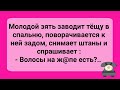 Сборник Веселых Анекдотов для Настроения! Смех! Юмор! Позитив!