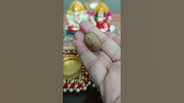 Nutmeg ya जायफल का उपाय घर धन सभी देगा ये उपाय#ytshorts #youtubeshorts #shorts