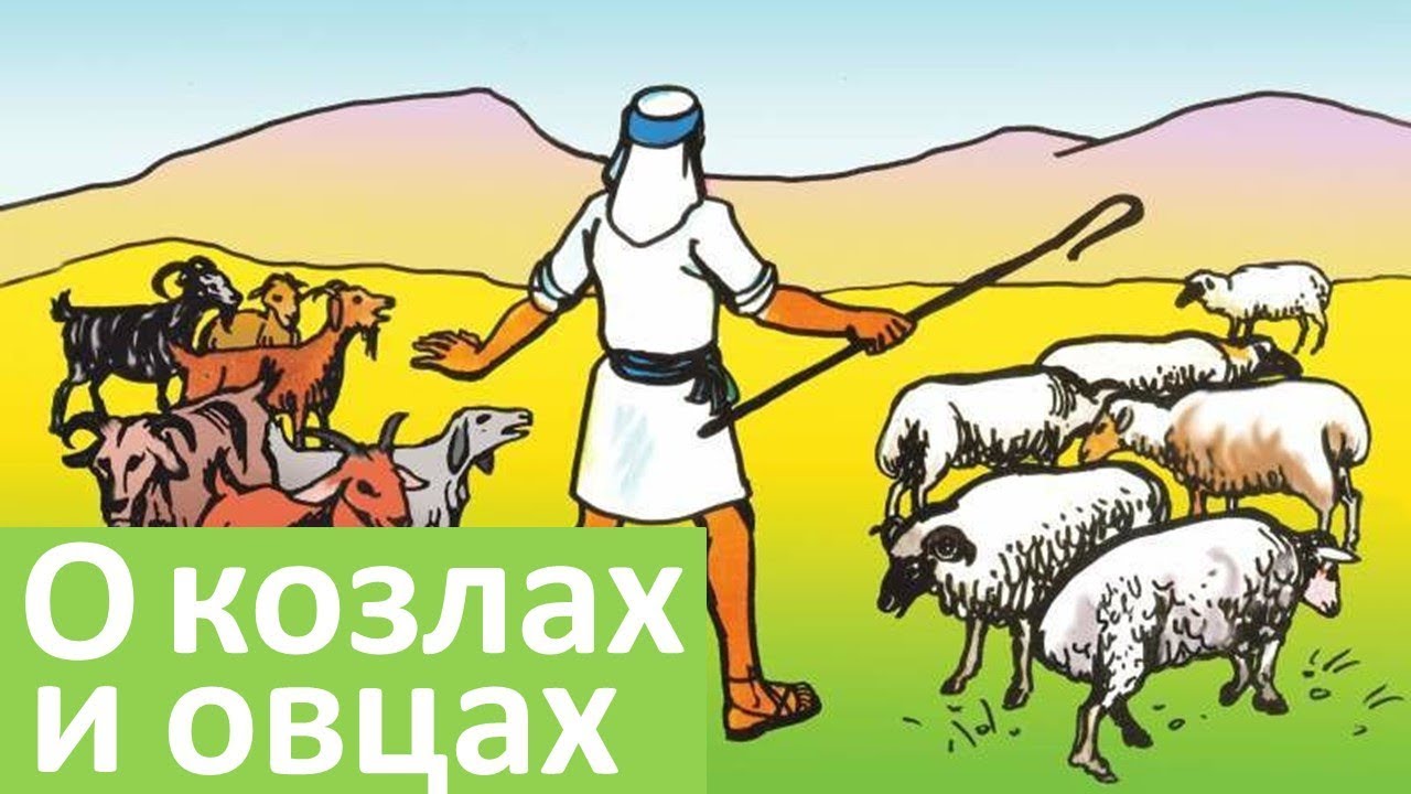 Он закричал пастухам чтобы они скорее гнали. Пастырь отделяет овец от Козлов. Отделить овец от козлищ. Пастух коз. Притча об овцах и козлах.