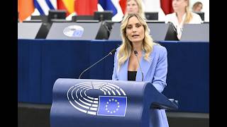 Protest Against the European Parliament's Resolution on Cyprus and the Unfounded Allegations