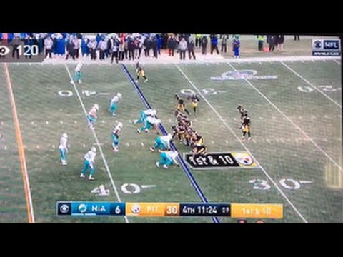 Dolphins vs Steelers NFL Playoffs 2017 - Dolphins get Destroyed ! Out of the Playoffs
