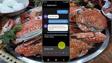 How to adjust Screen zoom in Samsung Galaxy S21, S21Plus, or S21 Ultra