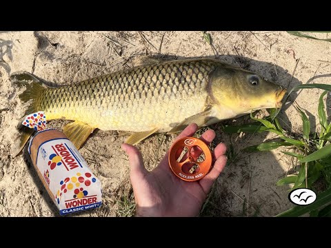 New ( Rodless Reel ) - Site fishing for Carp with Bread