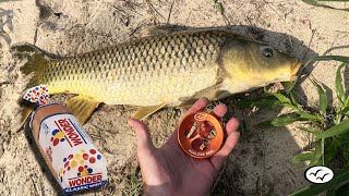 New ( Rodless Reel ) - Site fishing for Carp with Bread | Handline Fishing
