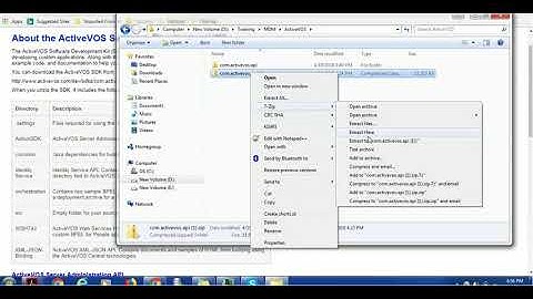 Active VOS Tutorial  - Active VOS APIs and SDKs