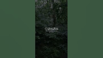 قراءة ابن كثير المكي - هذا نذير من النذر الأولى سورة النجم الآية رقم 56 #quran القارئ ياسين القصاص