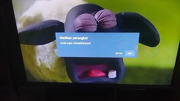 Shaun The Sheep Timmy In A Tizzy Crying Off