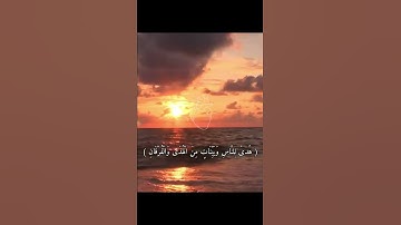 آية قرآنيه { شَهْرُ رَمَضَانَ الَّذِي أُنْزِلَ فِيهِ الْقُرْآنُ } بصوت القارئ عبدالرحمن مسعد 🤍🤍 .