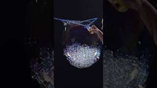 Celebrity Most Bubbles Inside A Bubble #Shorts Net Worth