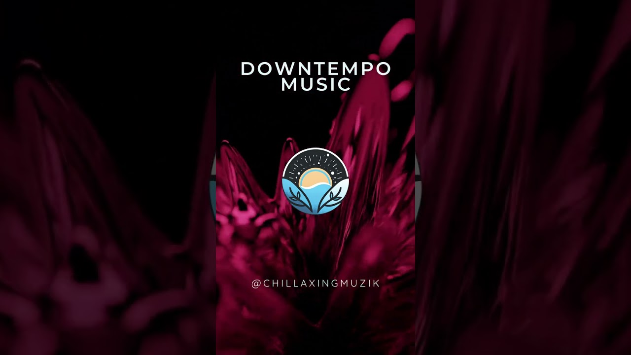 Слушайте, расслабьтесь и расслабьтесь: путешествие по ритмам даунтемпо 