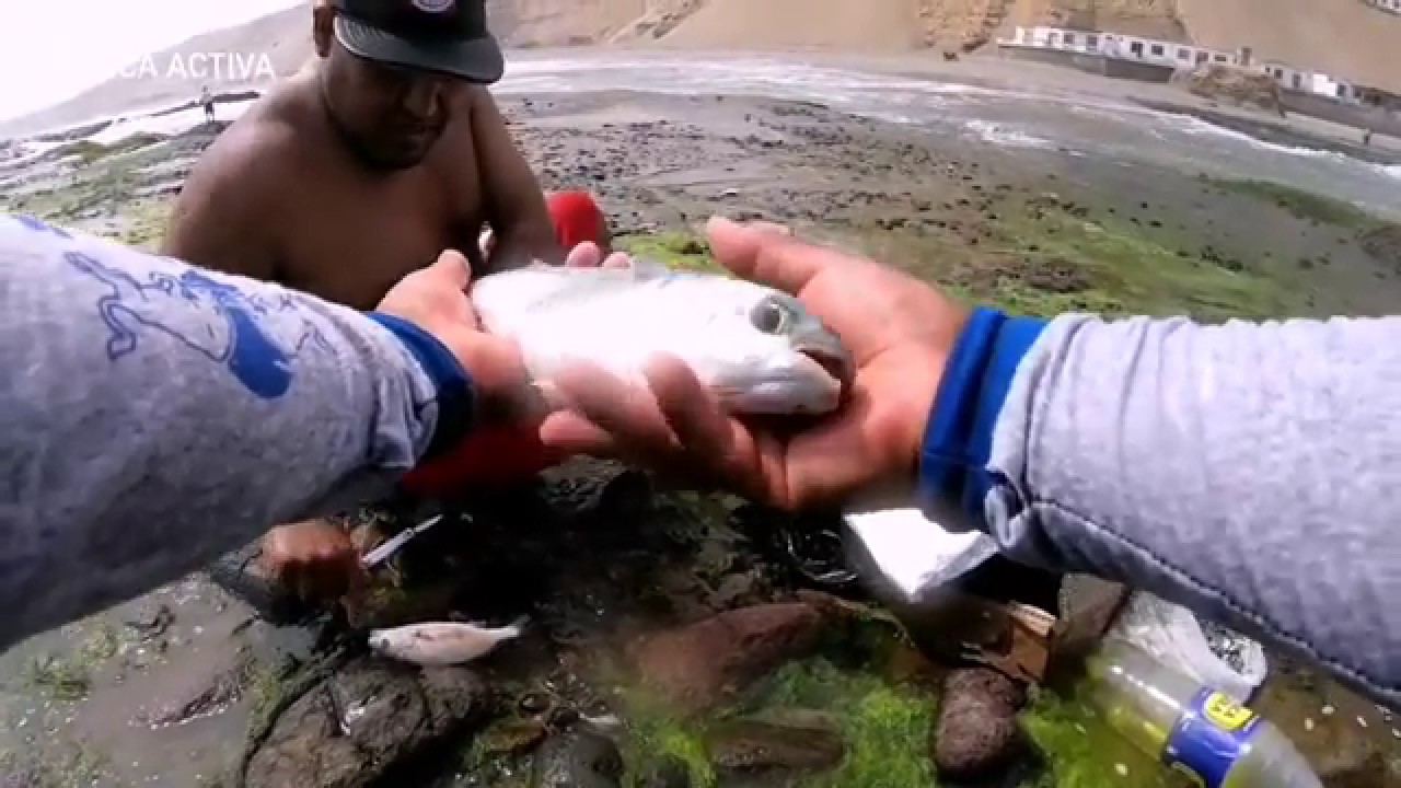 Praia Dos Pescadores Surf Forecast And Surf Reports So Paulo