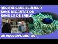 Visite chez aquaexotic  aquarium rcifal sans cumeur sans dcantation sans lit de sable pais