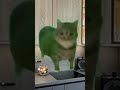 ёпаресетэ мем шуточное Youtube прикол мемас юмор видосыоткота Memes прикольныекоты мемы ёпаресетэ мем шуточное Youtube прикол мемас юмор видосыоткота Memes прикольныекоты мемы