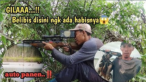 MARAUDER || hunting belibis di spot rahasia