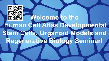 HCA Development Seminar Series: Stem Cell, Organoid Models, and Regenerative Biology